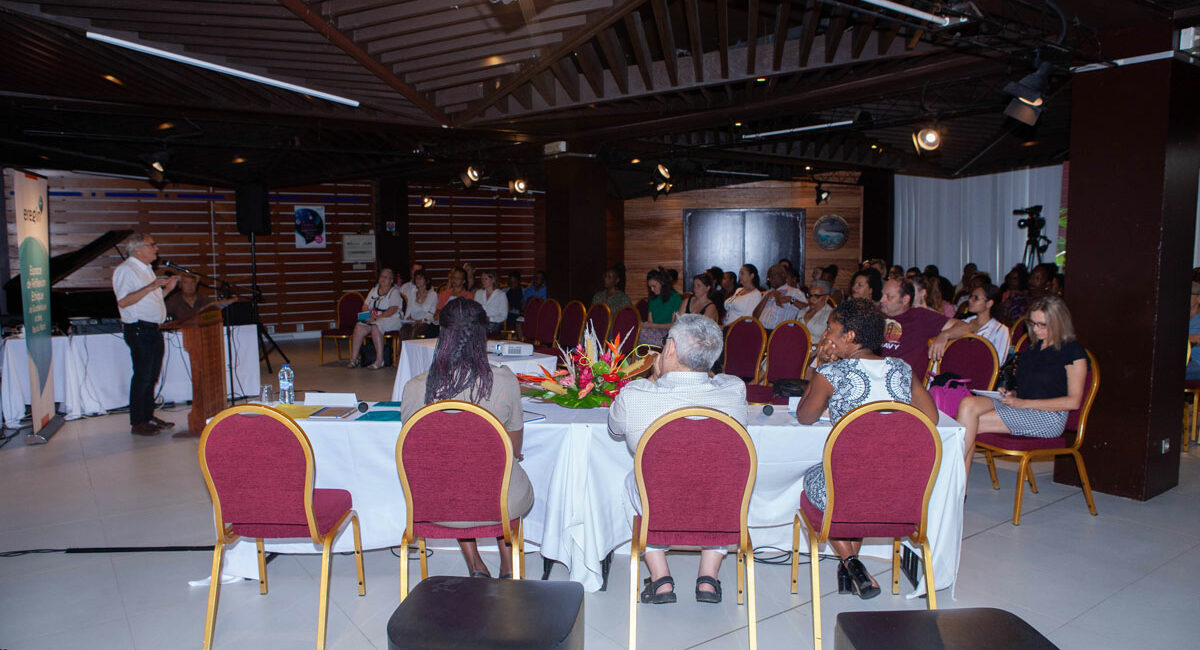 Séminaire de groupe entre professionnels de la santé en guadeloupe - eregin entre la technique et l'humain