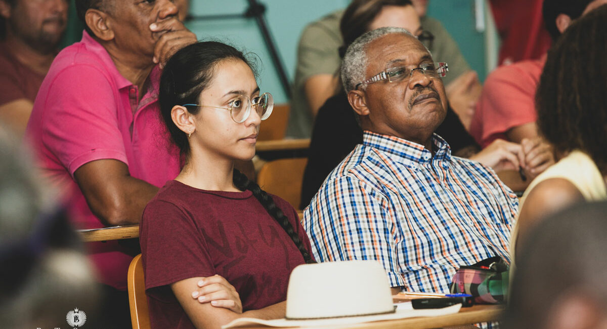 Séminaire de groupe entre professionnels de la santé en guadeloupe - eregin parentalité et genre 2019